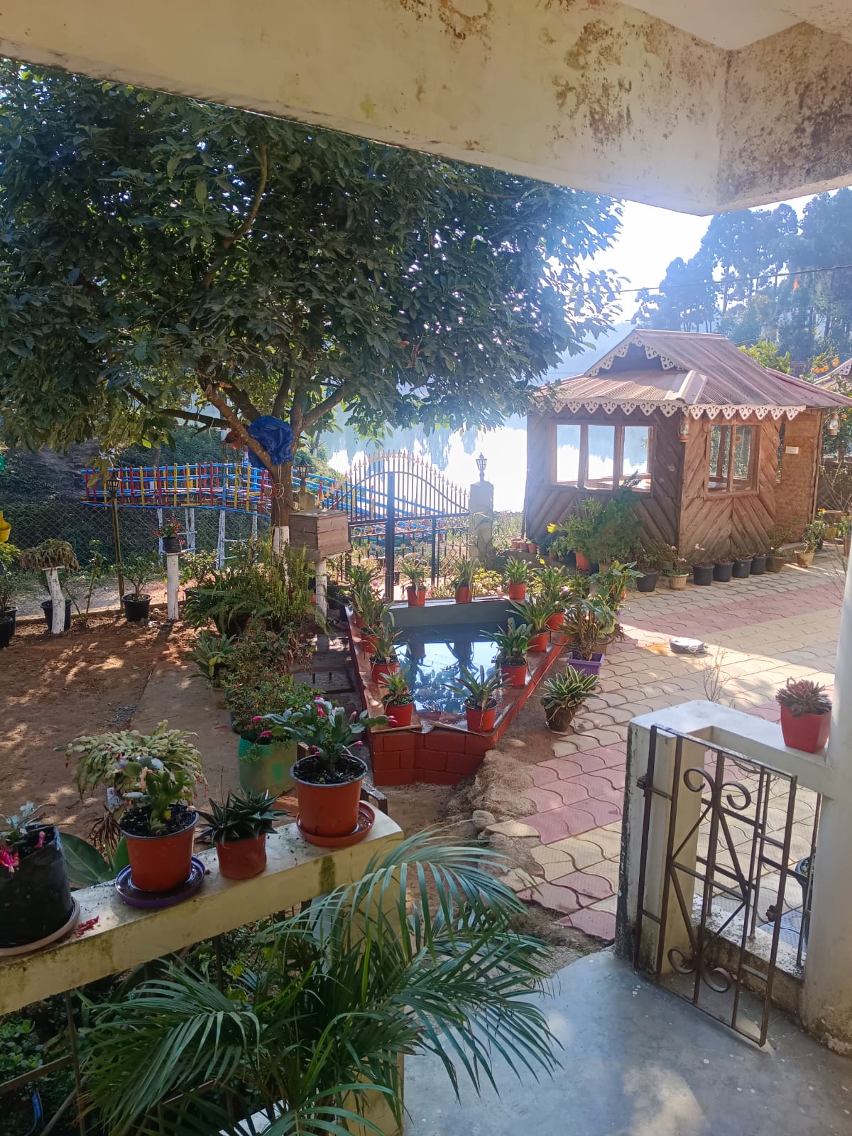 Zims Homestay Photo 10